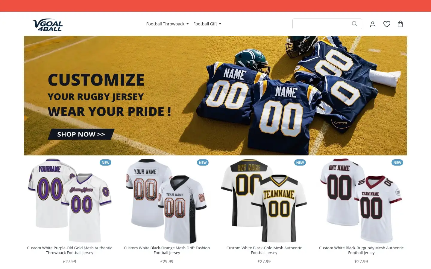 Screenshot of vgoal4ball.com