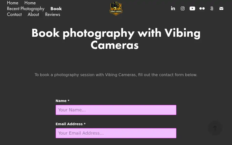 Screenshot of vibingcameras.com