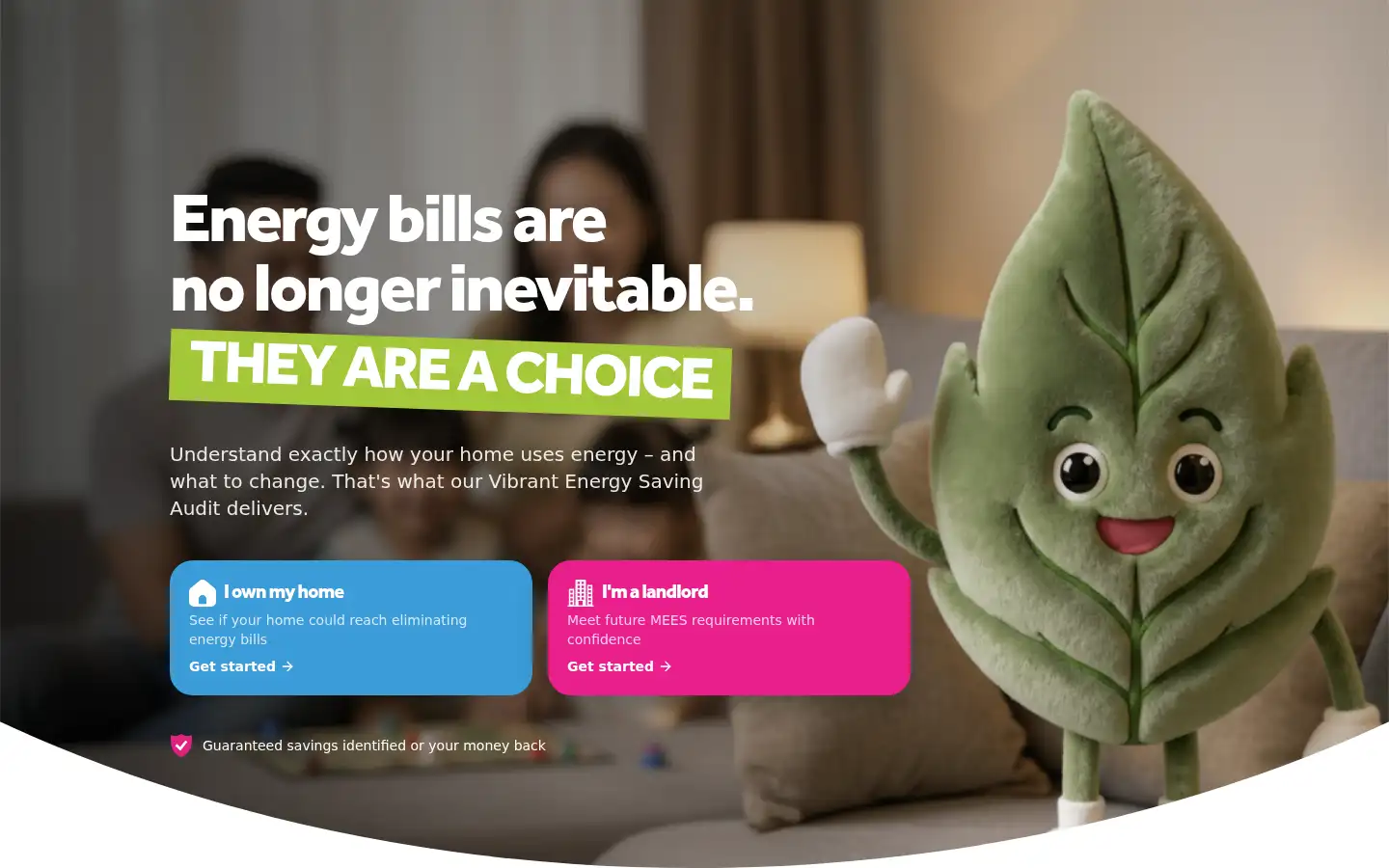 Screenshot of vibrantenergymatters.co.uk