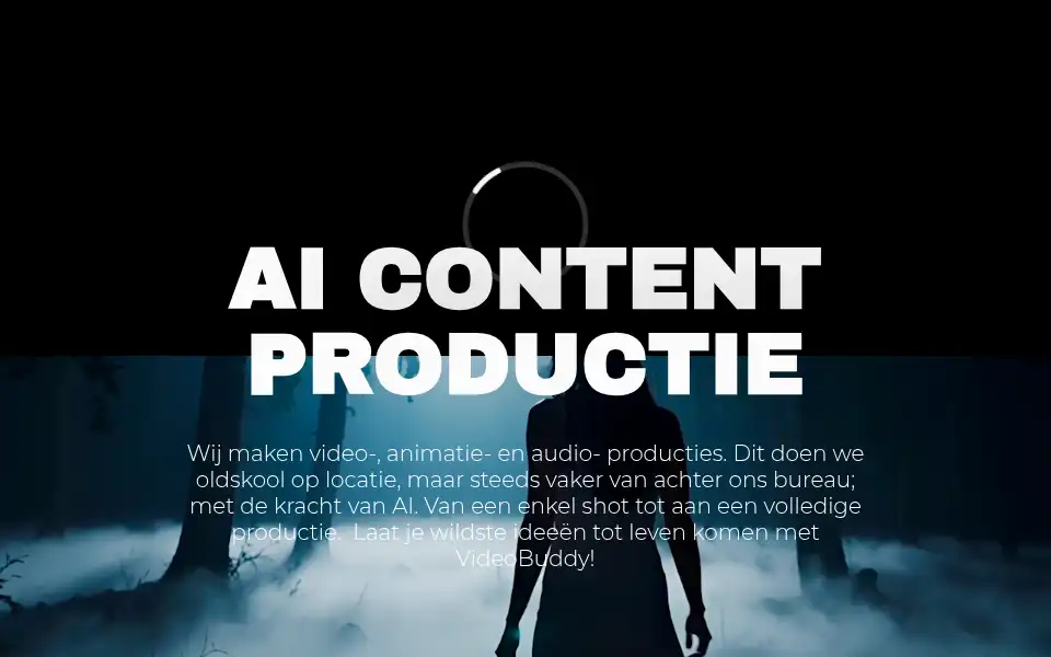 Screenshot of videobuddy.nl