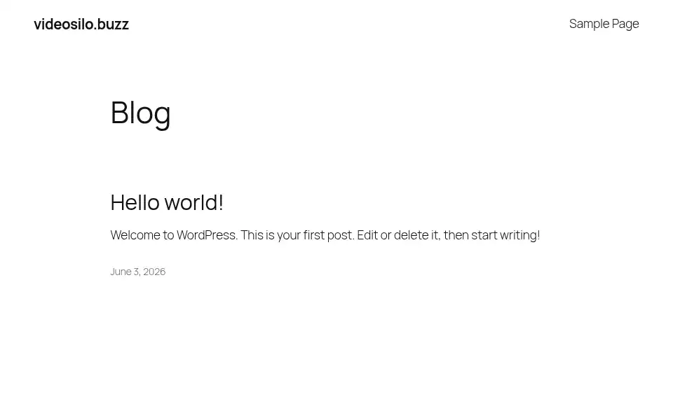 Screenshot of videosilo.buzz