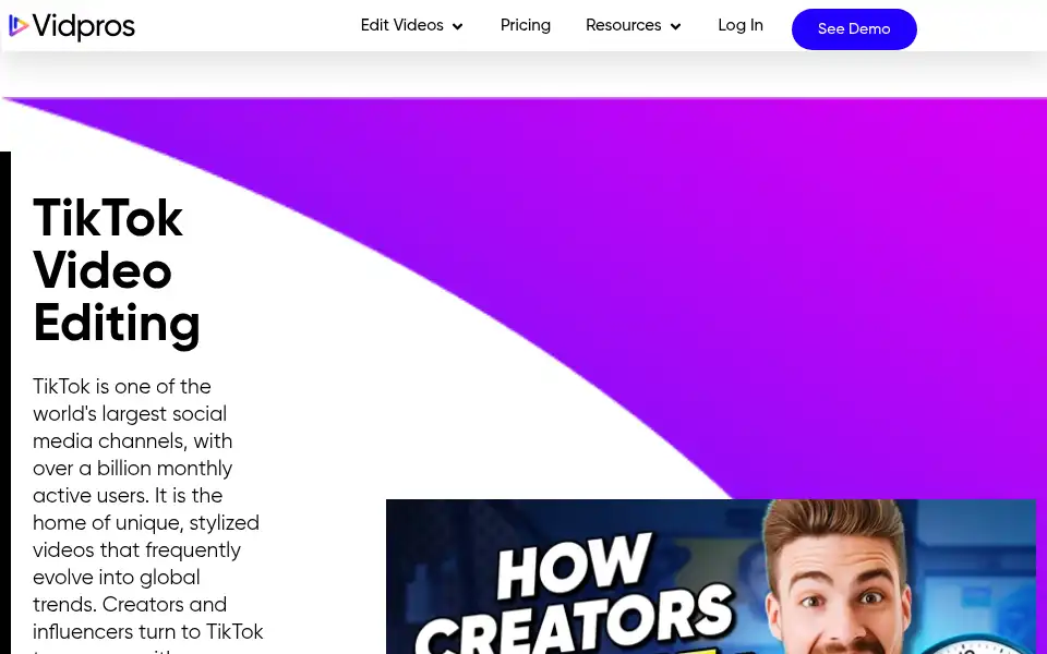 Screenshot of vidpros.com