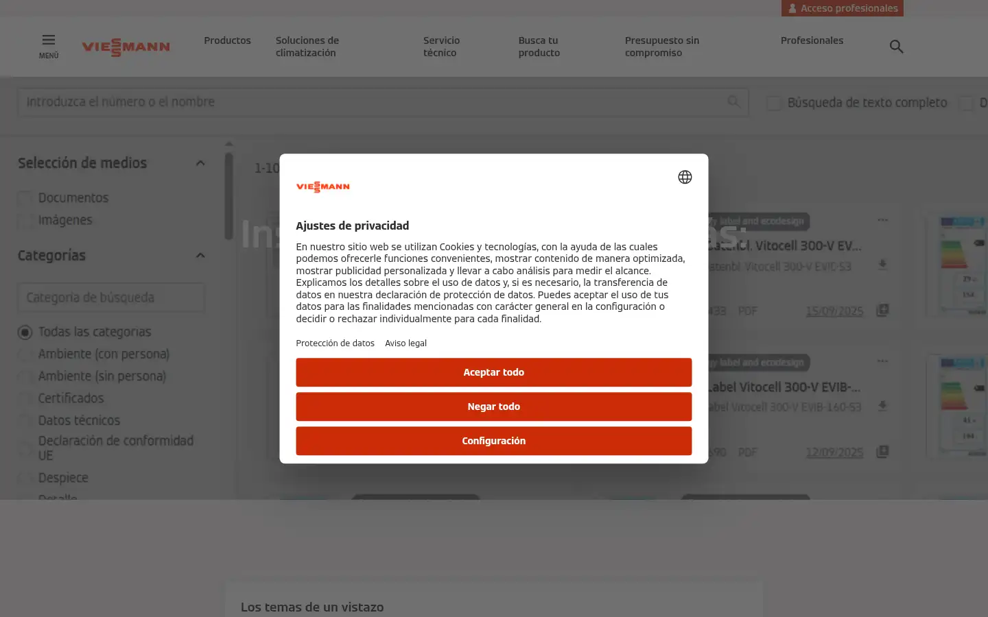Screenshot of viessmann.es