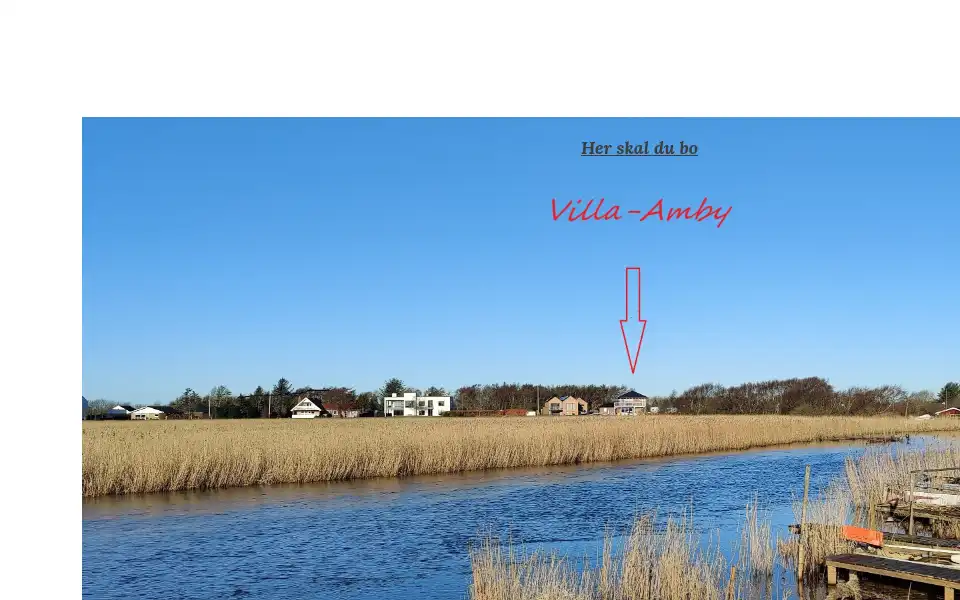 Screenshot of villa-amby.dk