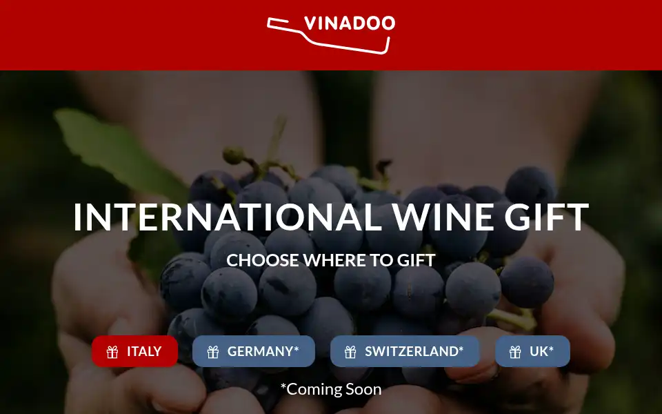 Screenshot of vinadoo.com