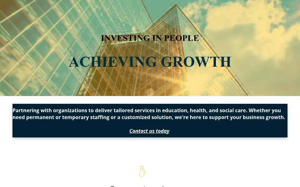 Screenshot of vinaprofessionals.com