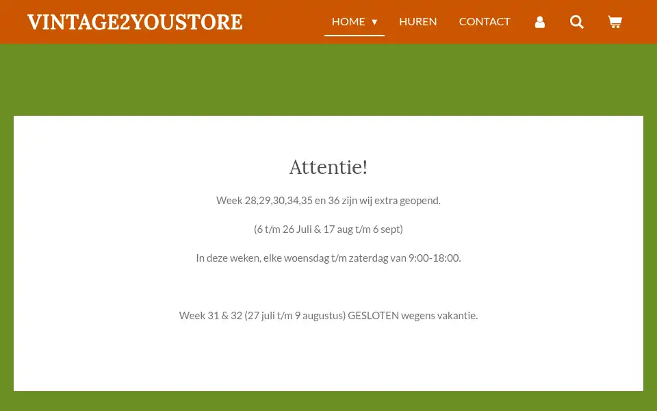 Screenshot of vintage2youstore.nl