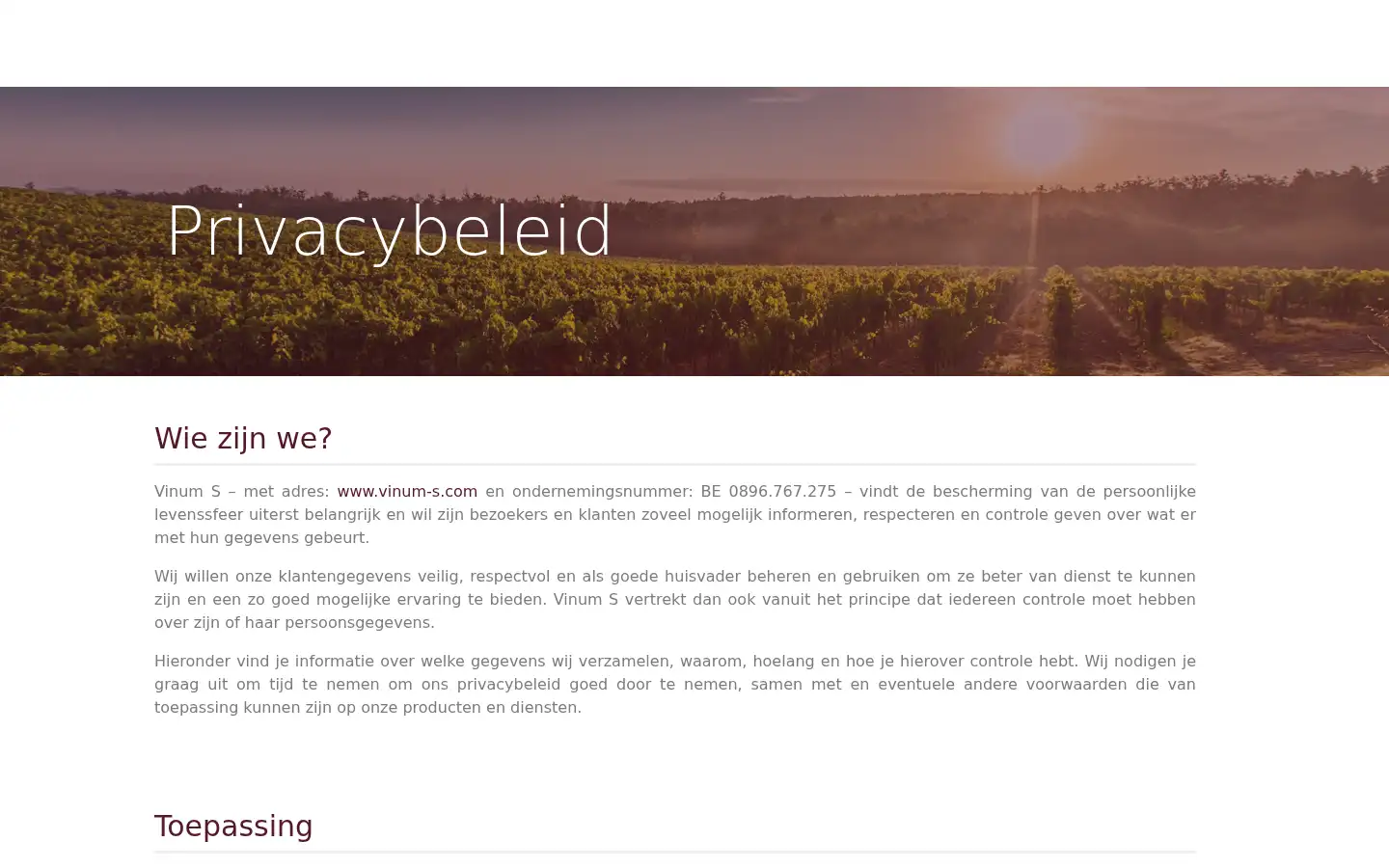 Screenshot of vinum-s.com