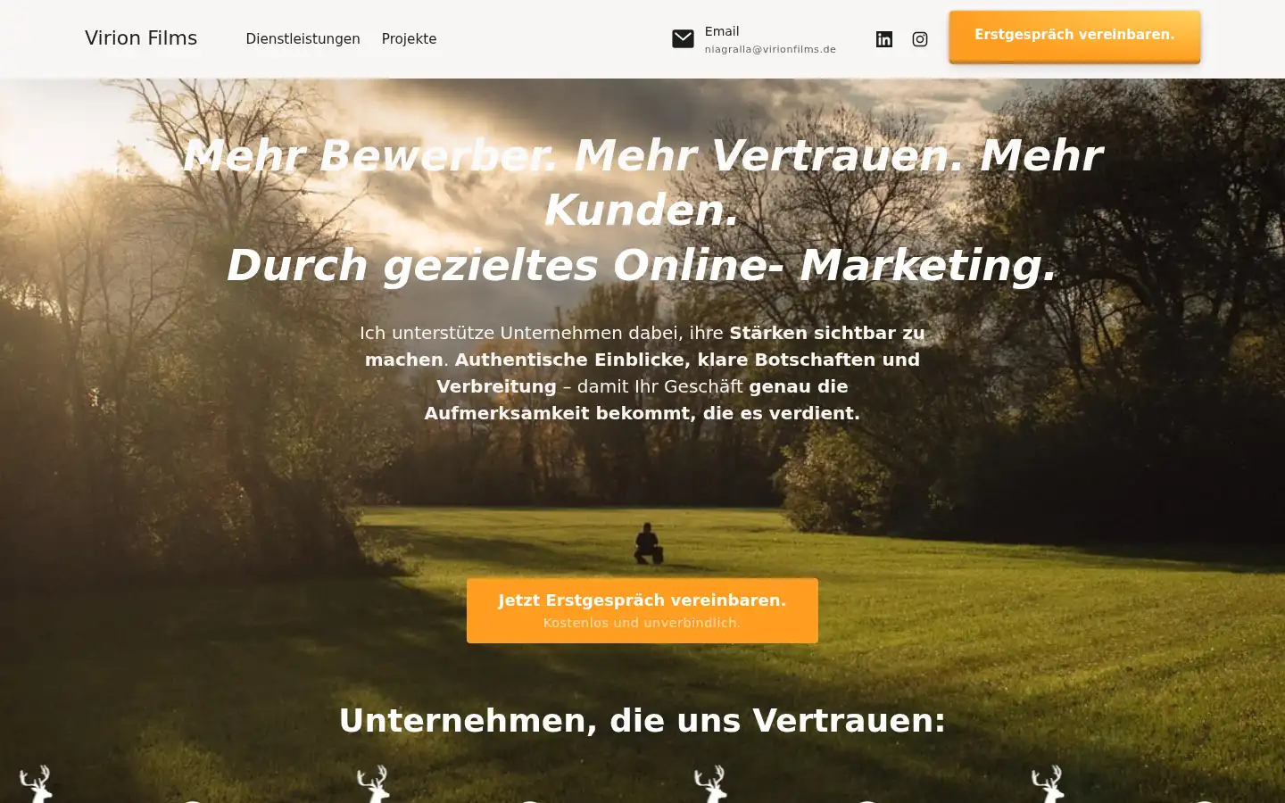 Screenshot of virionfilms.de