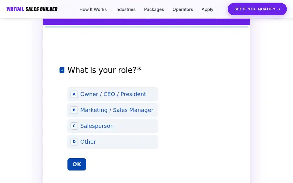 Screenshot of virtualsalesbuilder.com