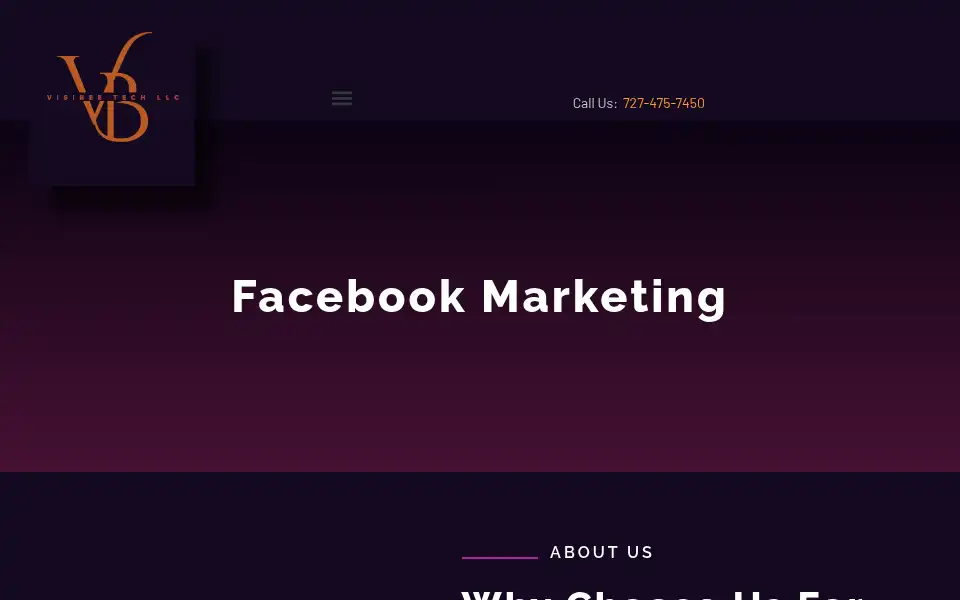 Screenshot of visibeetech.com