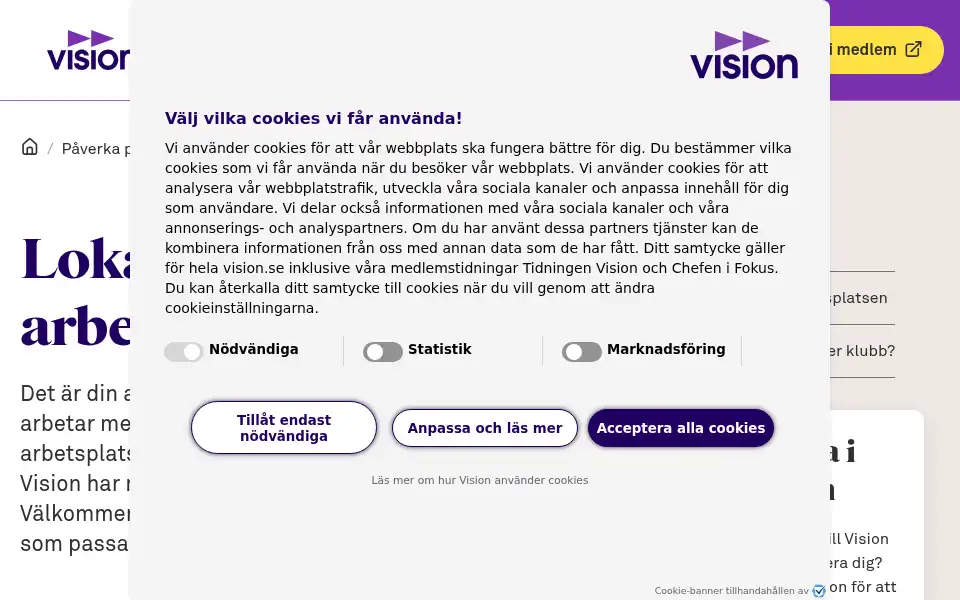 Screenshot of vision.se