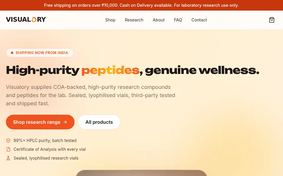 Screenshot of visualory.com