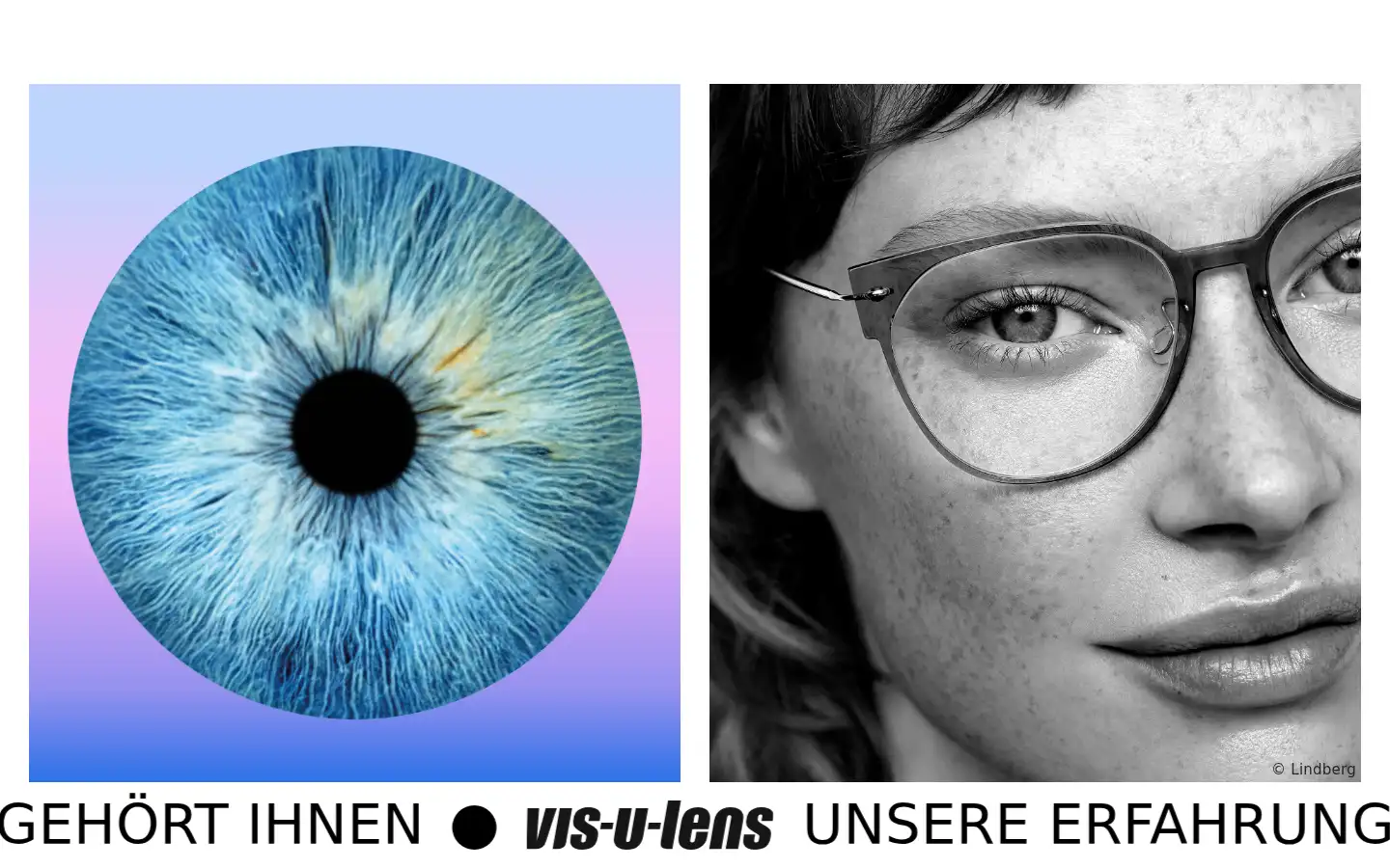 Screenshot of visulens.ch