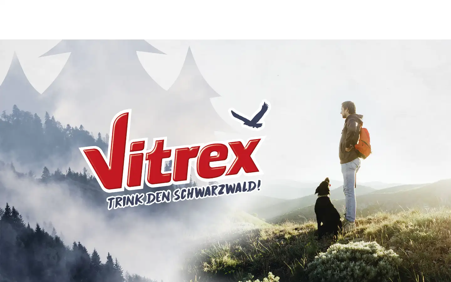 Screenshot of vitrex-wasser.de