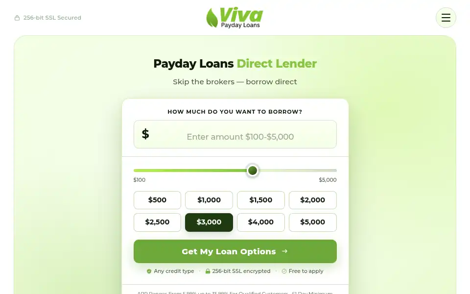 Screenshot of vivapaydayloans.com