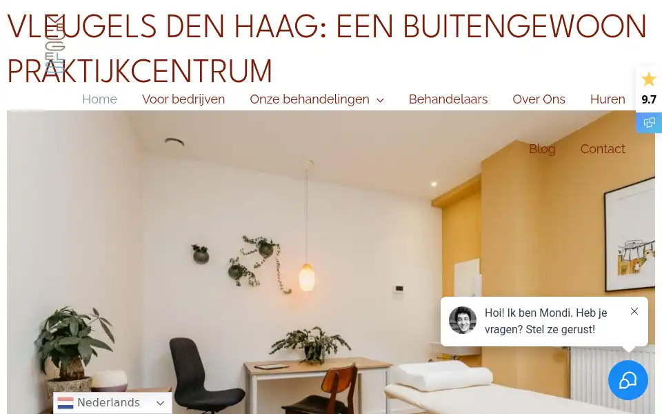 Screenshot of vleugelsdenhaag.nl