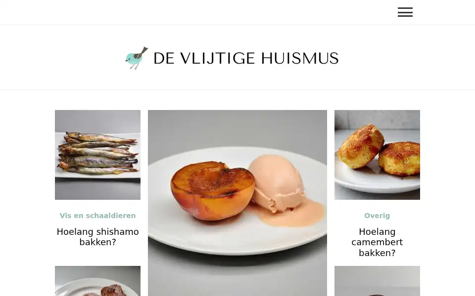 Screenshot of vlijtigehuismus.nl