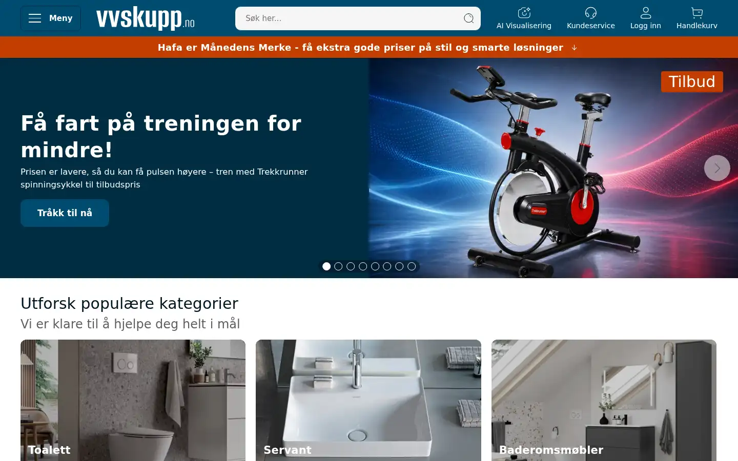 Screenshot of vvskupp.no