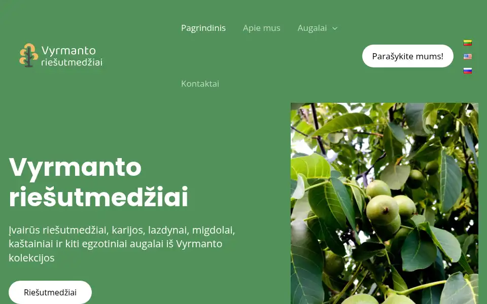 Screenshot of vyrmanto-riesutmedziai.lt