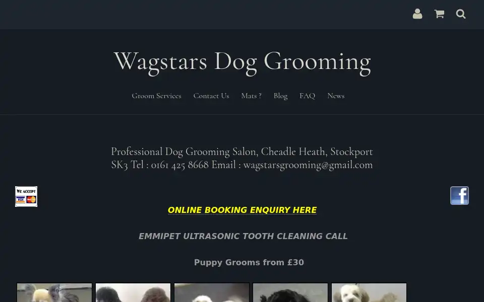 Screenshot of wagstars.co.uk
