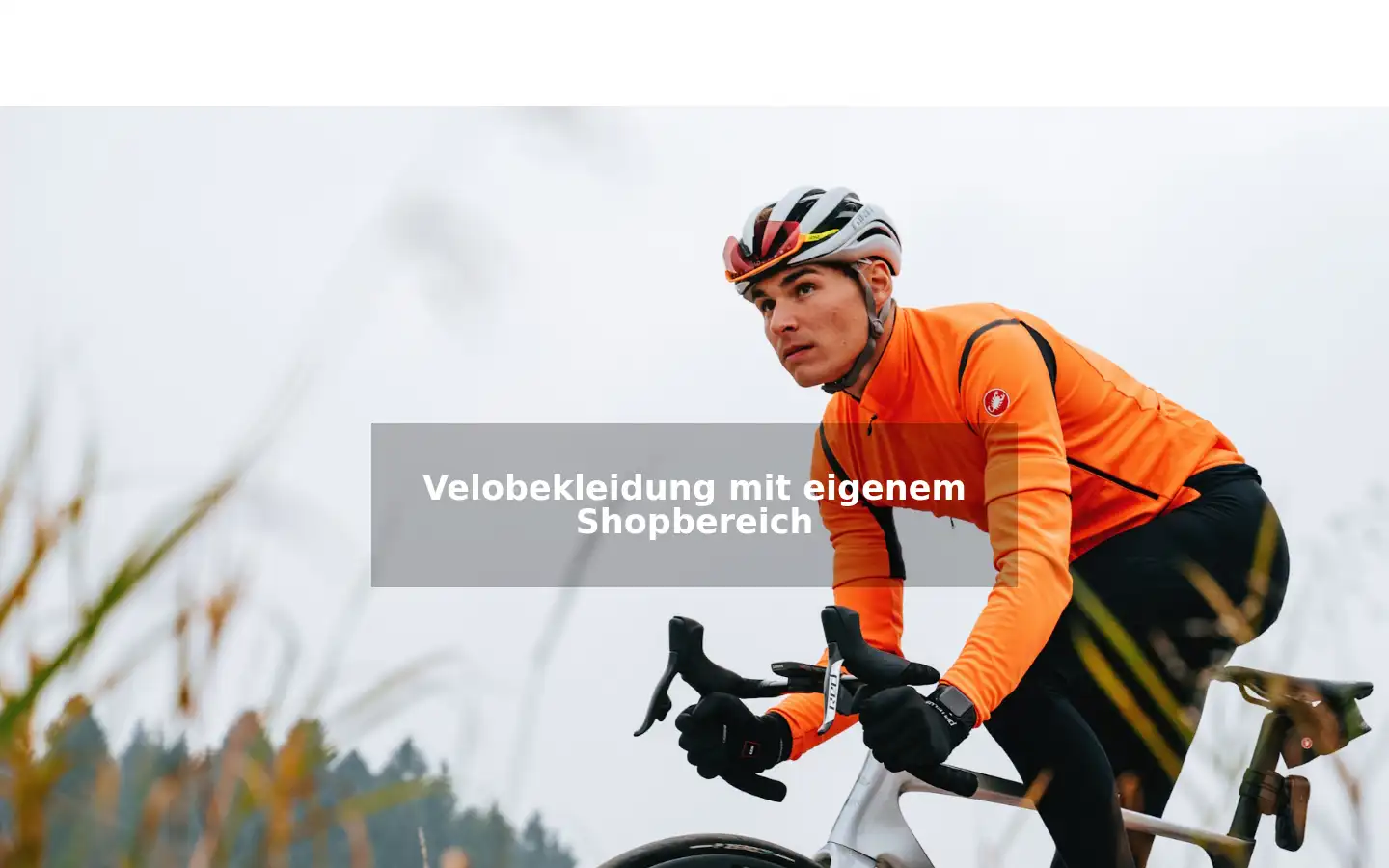 Screenshot of wamo.ch