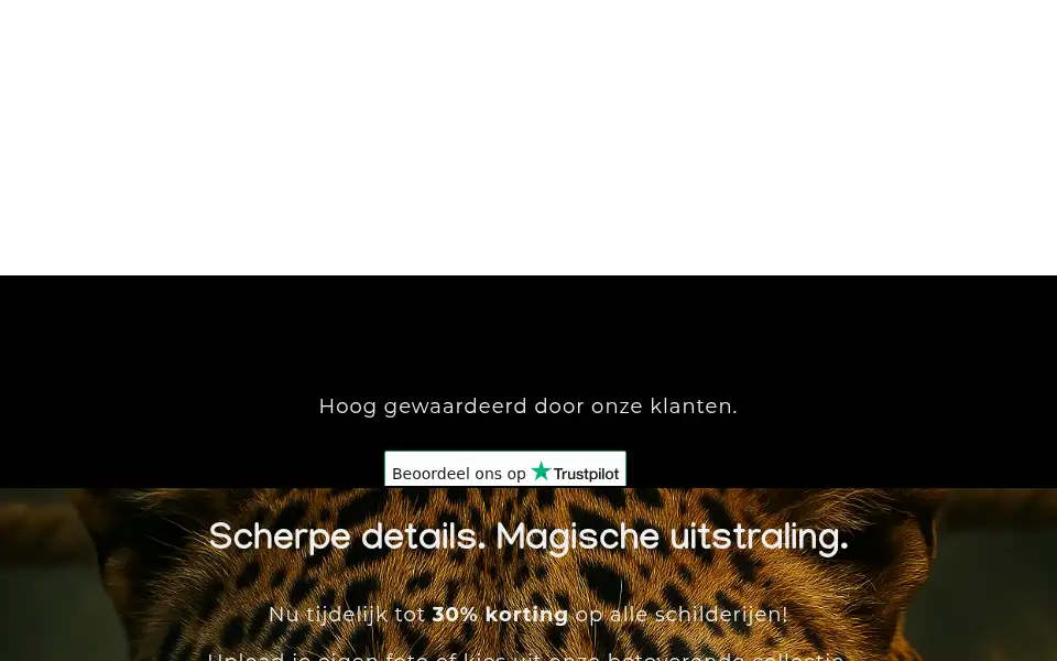 Screenshot of wandmagie.nl