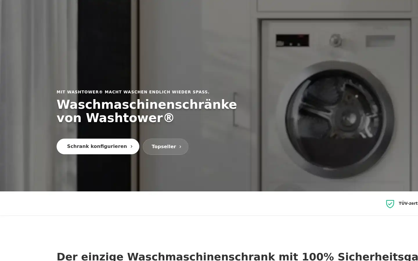 Screenshot of washtower.ch
