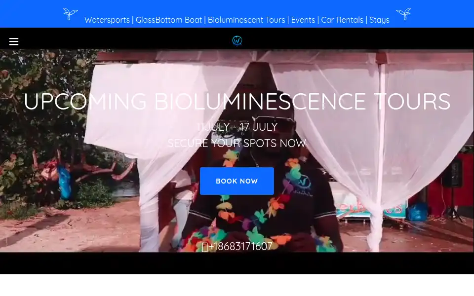 Screenshot of waterholicstobago.com