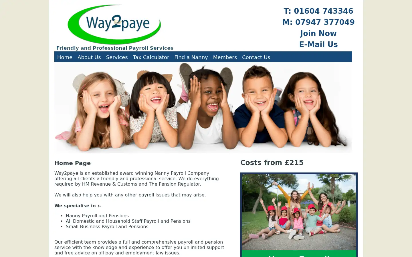 Screenshot of way2paye.co.uk