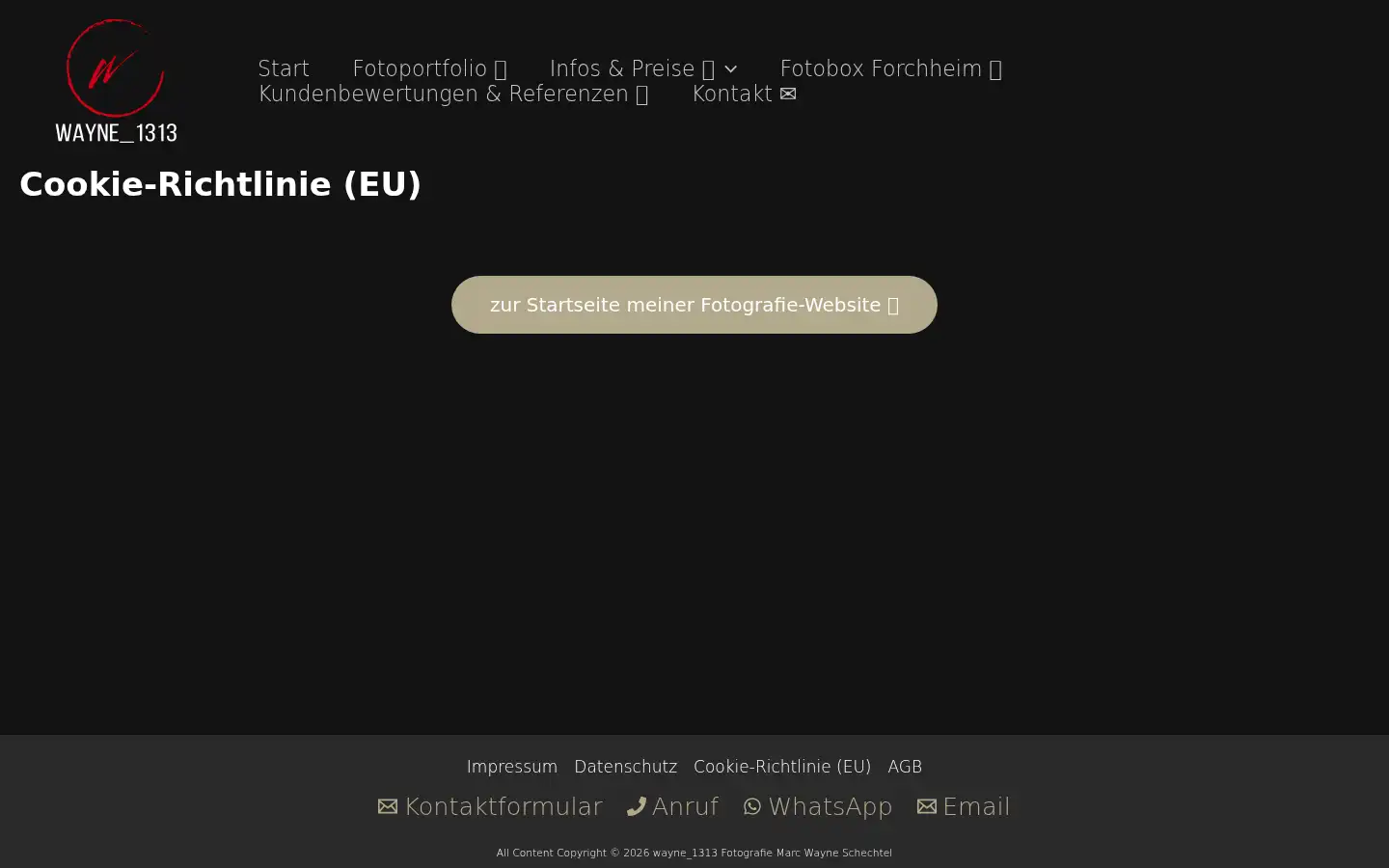 Screenshot of wayne1313.de