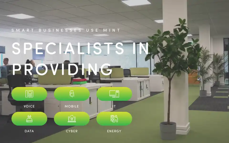 Screenshot of wearemint.tech