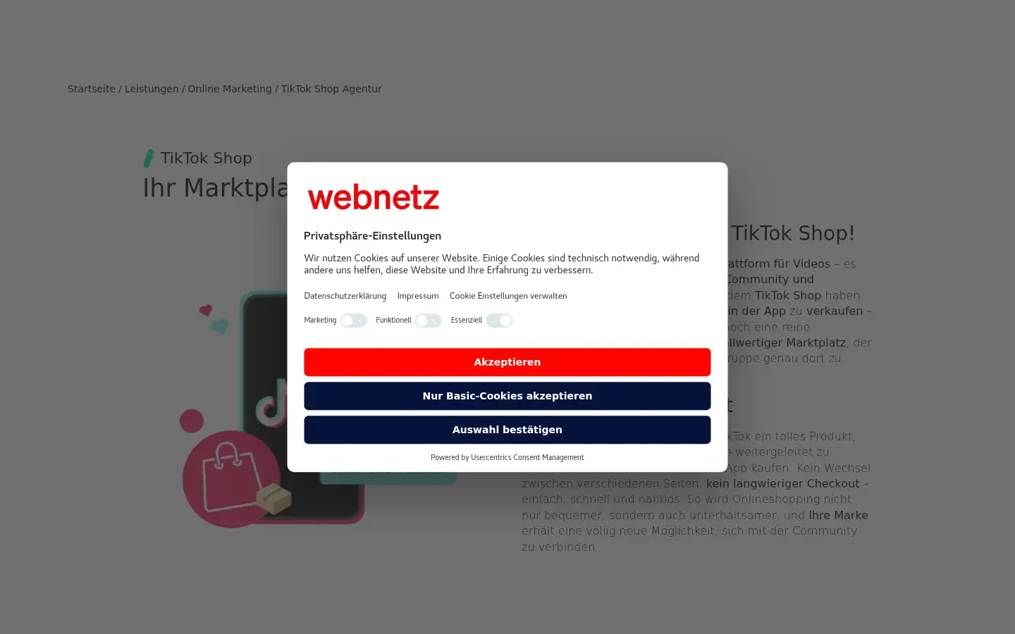 Screenshot of web-netz.de