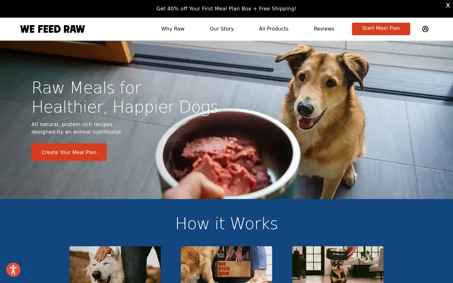 Screenshot of wefeedraw.com