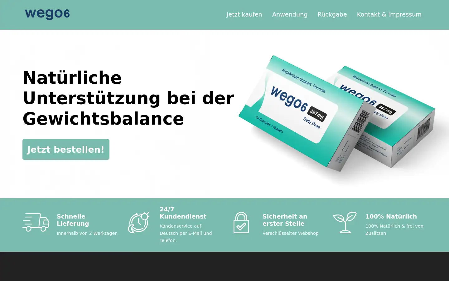 Screenshot of wego6.com