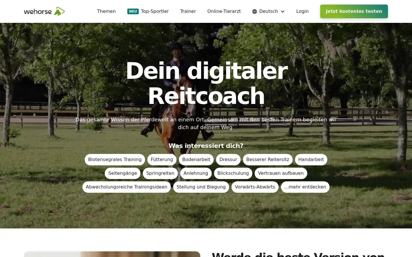 Screenshot of wehorse.com