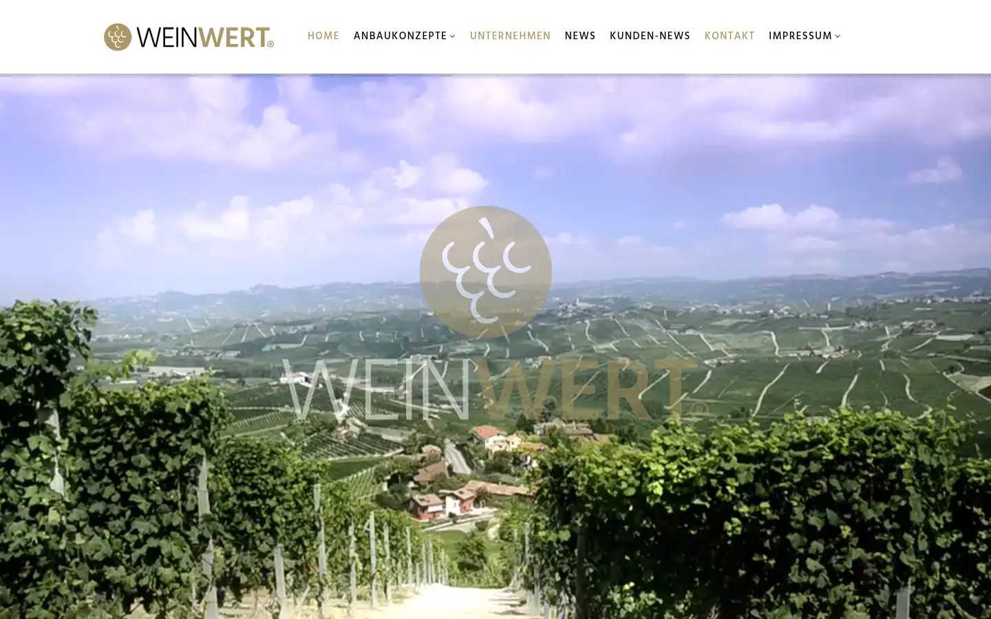 Screenshot of wein-wert.com