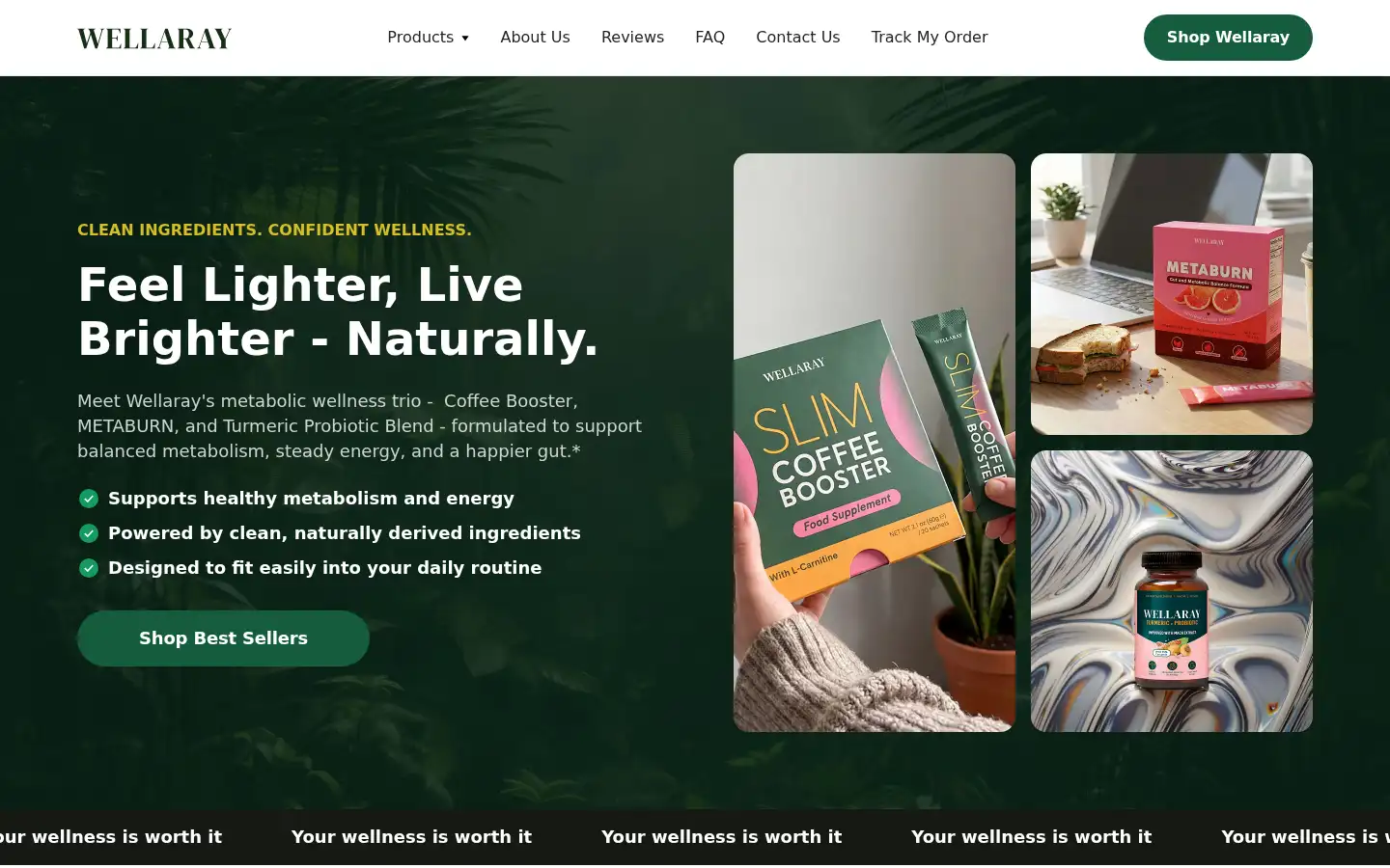Screenshot of wellaray.com