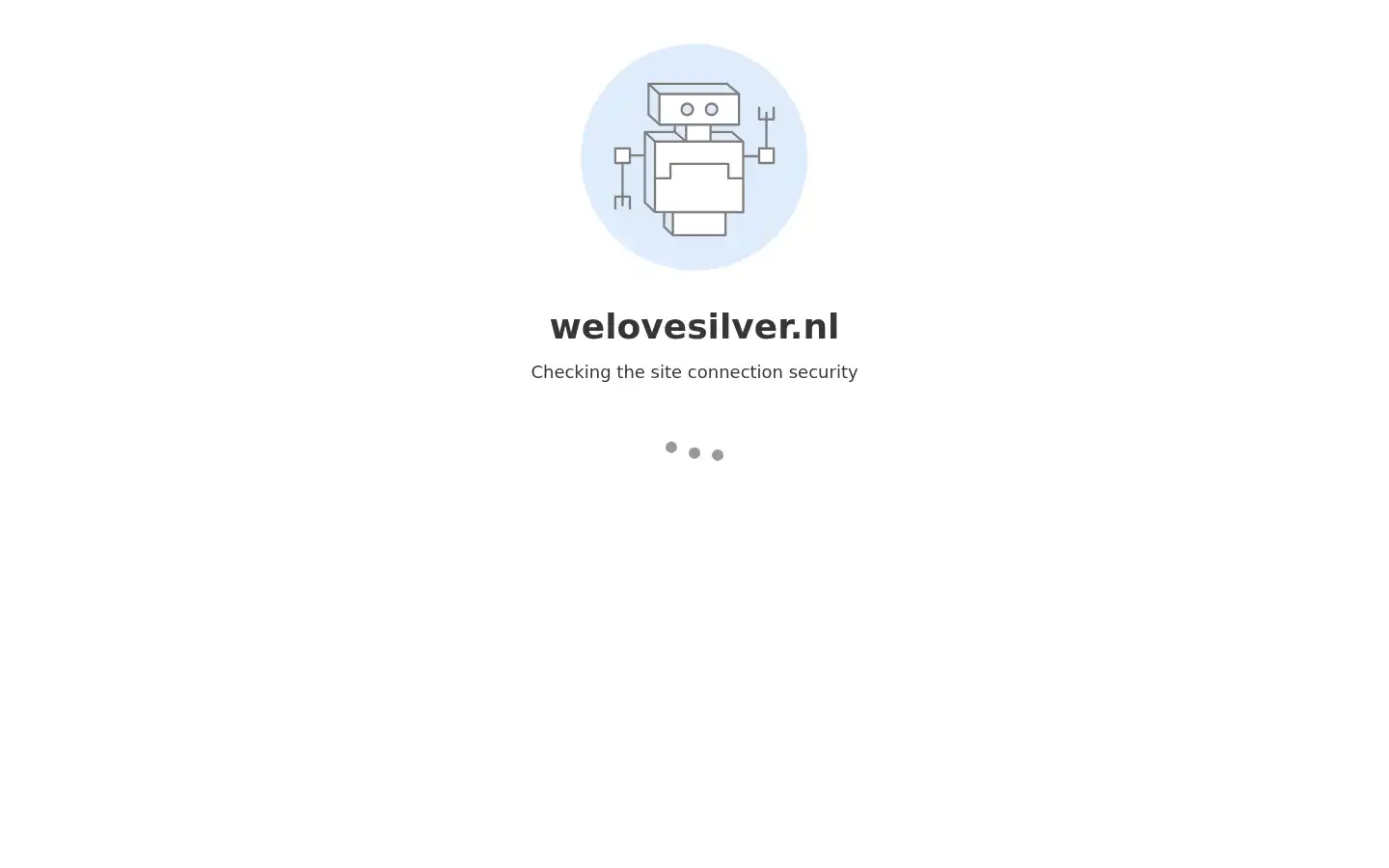 Screenshot of welovesilver.nl