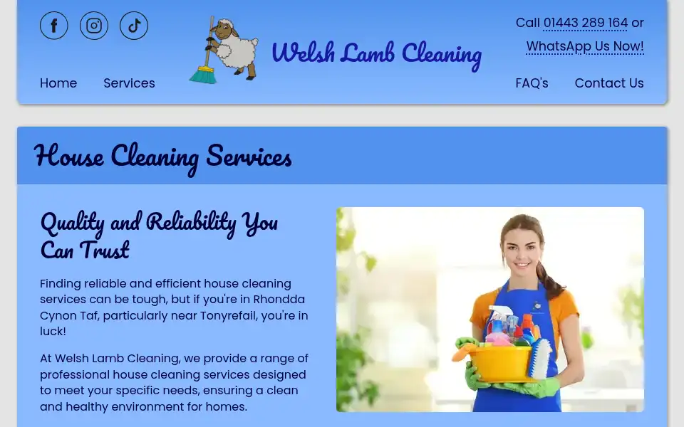 Screenshot of welshlambcleaning.co.uk