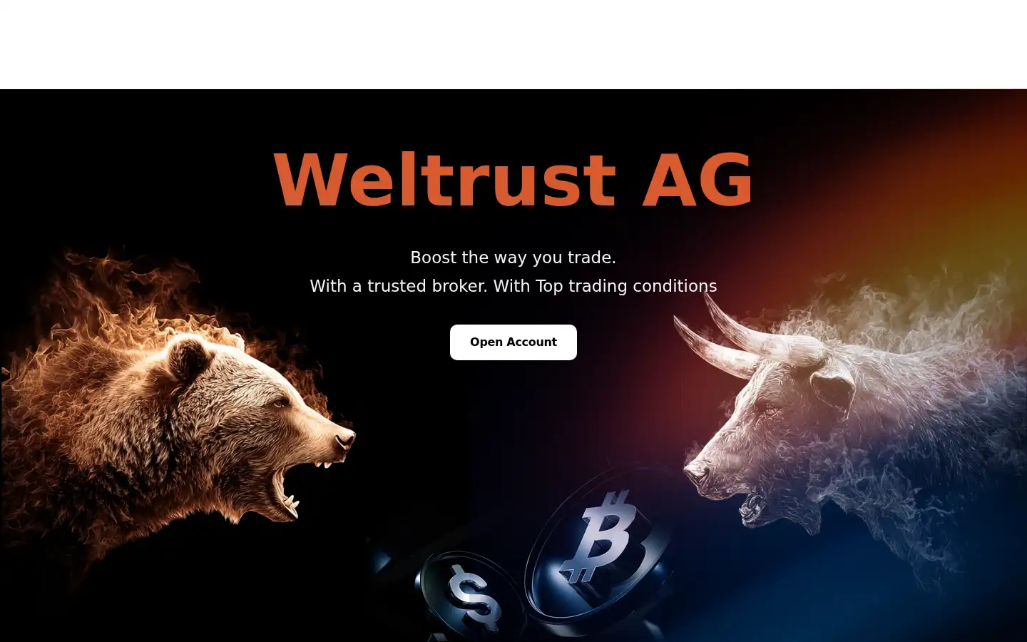 Screenshot of weltrust.org