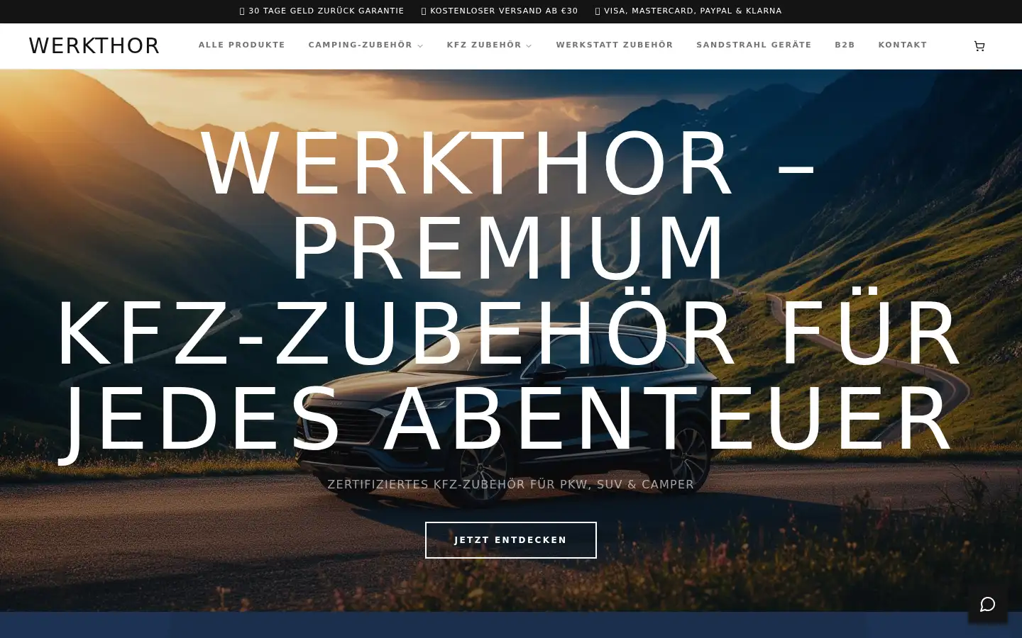 Screenshot of werkthor.at