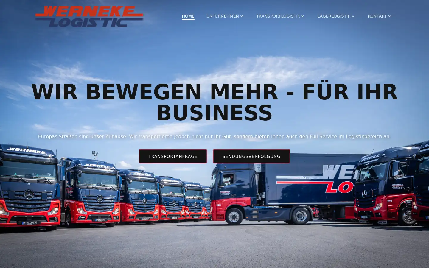 Screenshot of werneke.de