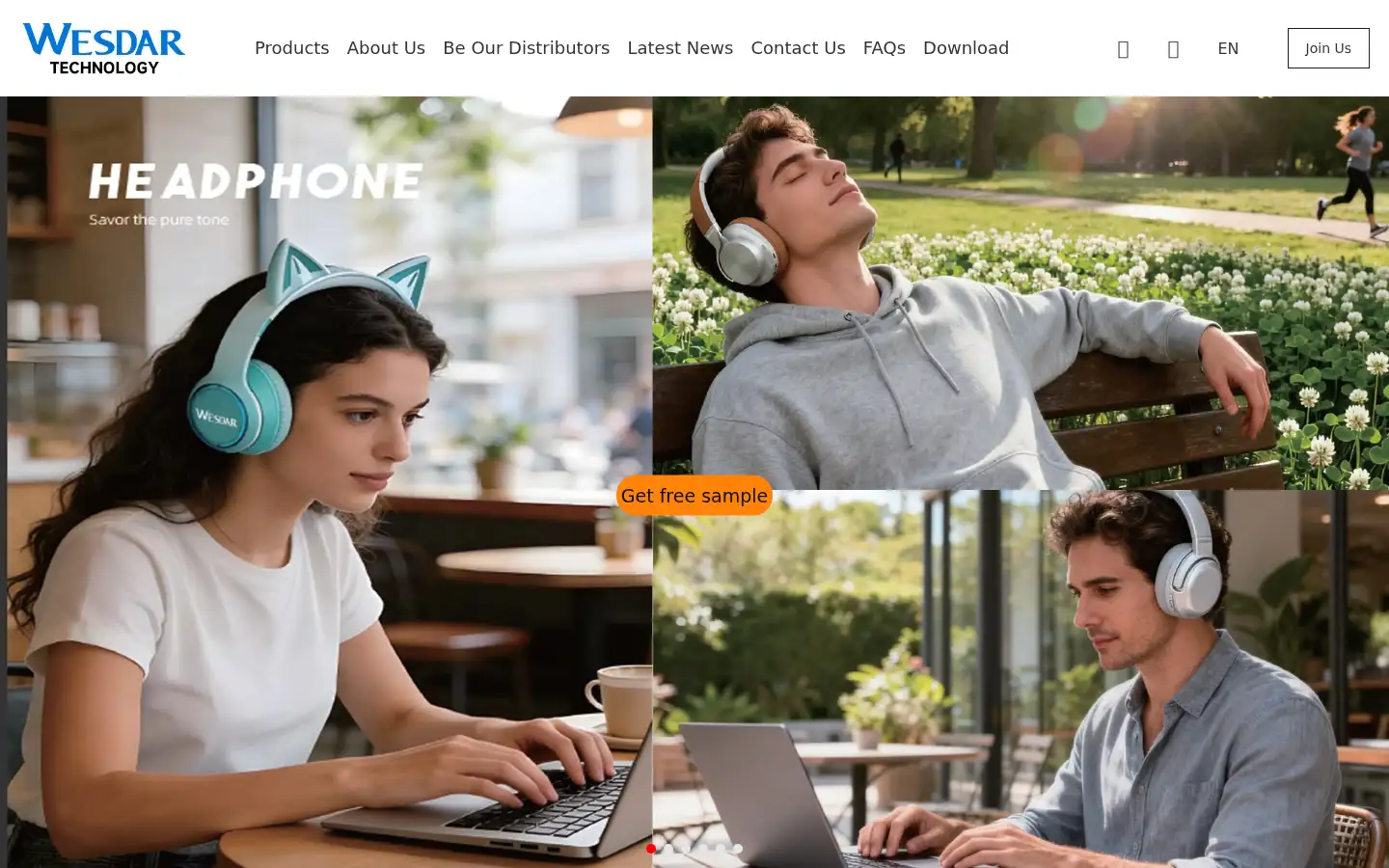 Screenshot of wesdar.com.cn