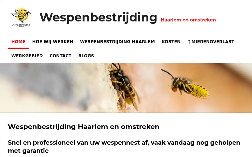 Screenshot of wespenbestrijdingvandijk.nl
