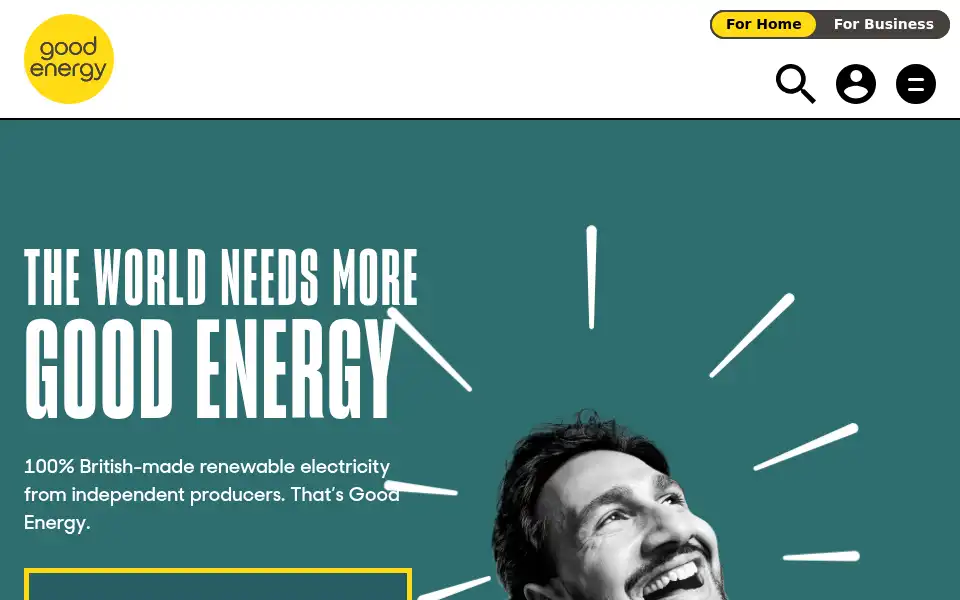 Screenshot of wessexecoenergy.com