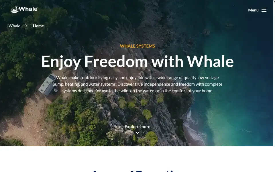Screenshot of whalepumps.com