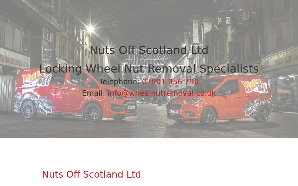 Screenshot of wheelnutremoval.co.uk