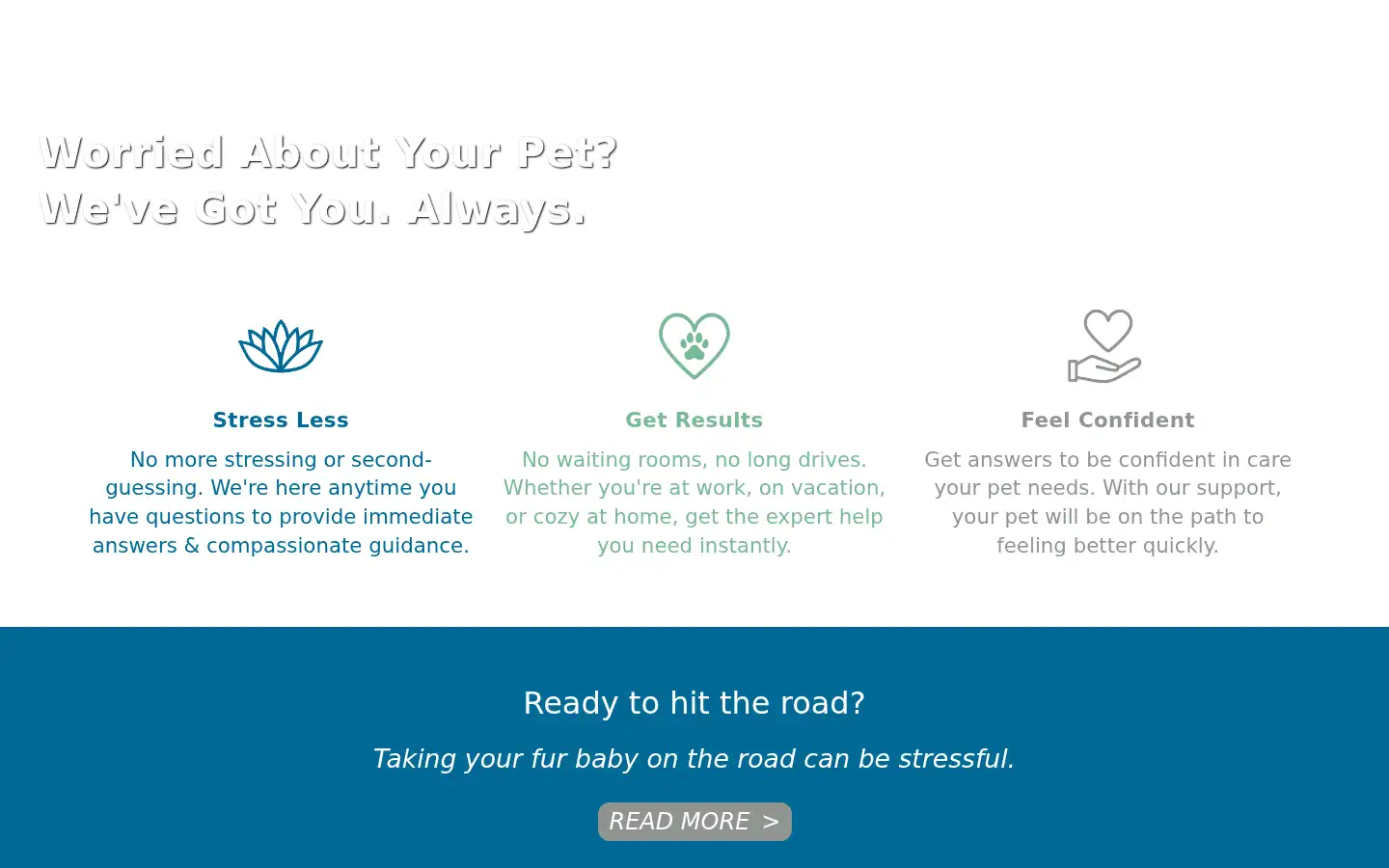 Screenshot of whiskerdocs.com