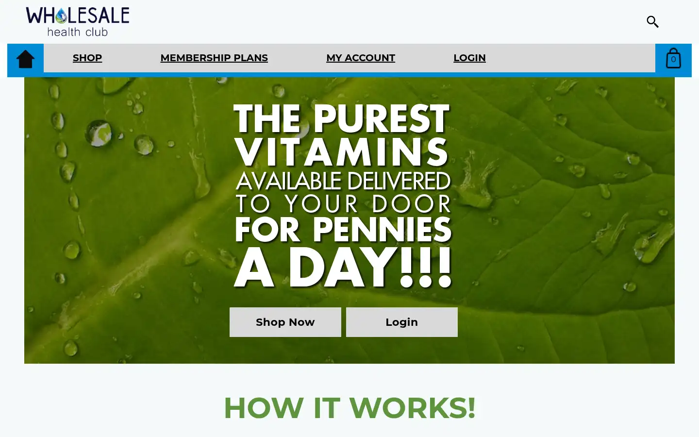 Screenshot of wholesalehealthclub.com